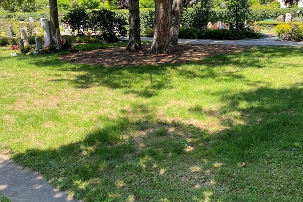 Anonyme Urnengräber - Grünfläche vor Bäumen auf dem Friedhof Denzlingen Anonyme Urnengräber - Grünfläche vor Bäumen auf dem Friedhof Denzlingen