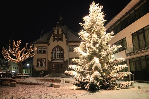 Rathaus mit Tannenbaum