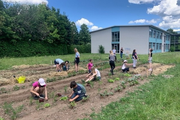 Fleißige Schülerinnen und Schüler der Nachhaltigkeits-AG und der „GartenKids“ bei der Anlage und Pflege des Schulgartens