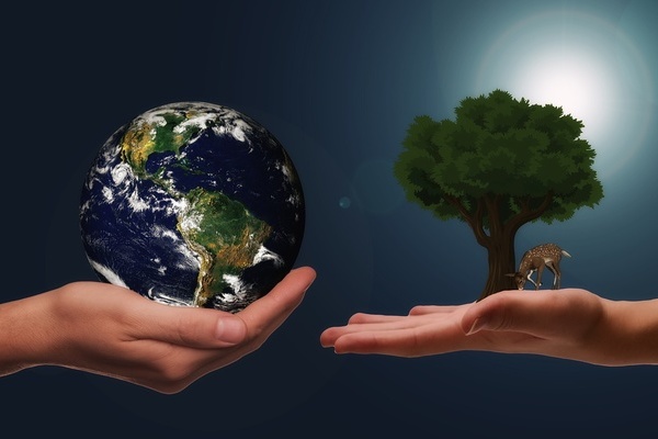 links Planet Erde in einer menschlichen Hand, rechts ein Laubbaum und ein grasendes Reh in menschlicher Hand links Planet Erde in einer menschlichen Hand, rechts ein Laubbaum und ein grasendes Reh in menschlicher Hand