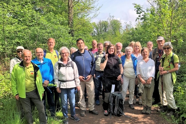 Gruppe von Wandernden im Wald Gruppe von Wandernden im Wald