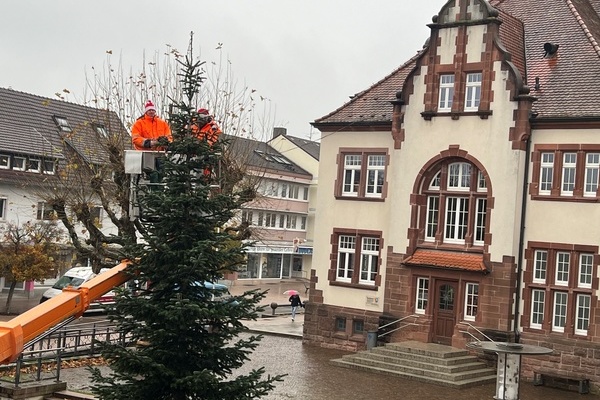 Bauhofmitarbeiter Matthias Nübling (links) und Mike Winkler bringen die Lichterkette am Christbaum auf dem Rathausplatz an. Foto: Melanie Lackner, Gemeinde Denzlingen Bauhofmitarbeiter Matthias Nübling (links) und Mike Winkler bringen die Lichterkette am Christbaum auf dem Rathausplatz an. Foto: Melanie Lackner, Gemeinde Denzlingen
