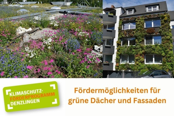 Begrüntes Flachdach Begrüntes Flachdach