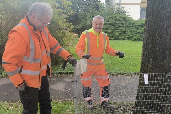 Arno B&uuml;che (links) und Robert Hoffmann vom Bauhof-Team stellen in Denzlingen Laubk&ouml;rbe auf. Foto: Gemeinde Denzlingen