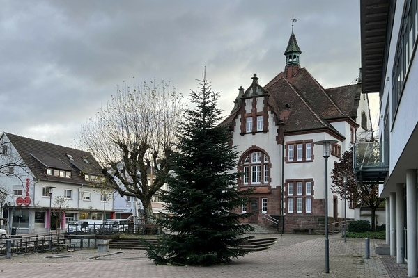 Der Christbaum auf dem Rathausplatz wir in der Adventszeit wieder allabendlich leuchten. Foto: Melanie Lackner Der Christbaum auf dem Rathausplatz wir in der Adventszeit wieder allabendlich leuchten. Foto: Melanie Lackner