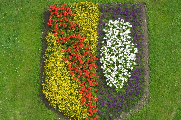 Bl&uuml;hende Pflanzen formen das Denzlinger Wappen