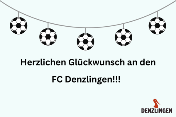 Fu&szlig;ball Wimpel, schwarze Schrift auf hellem Untergrund, Logo der Gemeinde Denzlingen, roter Storch, schwarze Schrift