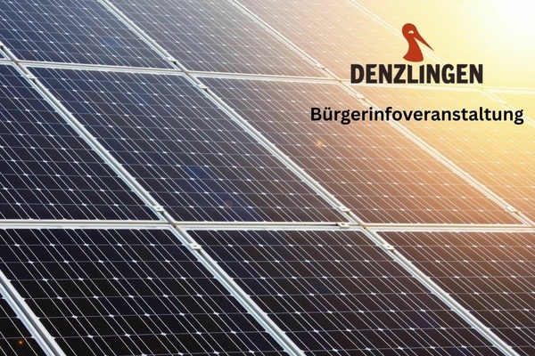 PV-Modul, rechts oben das Denzlinger Logo, roter Storch und schwarze Schrift auf hellem Hintergrund PV-Modul, rechts oben das Denzlinger Logo, roter Storch und schwarze Schrift auf hellem Hintergrund
