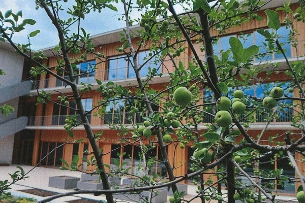 Bild: Der Red Sentinel Zierapfelbaum auf dem Schulgel&auml;nde der Ruth-Cohn-Schule Denzlingen tr&auml;gt Fr&uuml;chte. Der Baum wurde von Sch&uuml;lern der Jahrgangsstufe sechs gespendet. Foto: Gemeinde Denzlingen.