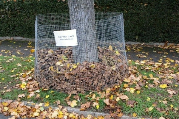 Laubkorb - Drahtkitter um einen Baumstamm mit Schild - schwarze Schritf auf wei&szlig;em Untergrund