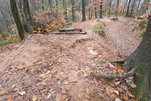 Bild: Illegale Erdarbeiten im Waldgebiet nahe dem Hallerhof in Richtung Sngerruh. Foto: Verbandsbauhof des GVVDVR