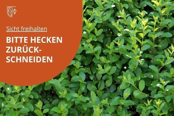 Hecke. Organgenes Wappenf&ouml;rmiges Feld, dar&uuml;ber in wei&szlig;er Schrift: Sicht freihalten: Bitte Hecken zur&uuml;ckschneiden