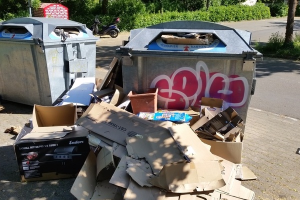 berfllte Altpapiercontainer in Denzlingen - ein rgernis!