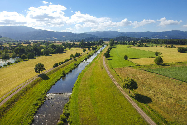 Das Regierungspräsidium Freiburg plant an der Elz eine umfassende Dammrückverlegung und Renaturierung. Foto: Dieter Ruf/ RPF Das Regierungspräsidium Freiburg plant an der Elz eine umfassende Dammrückverlegung und Renaturierung. Foto: Dieter Ruf/ RPF