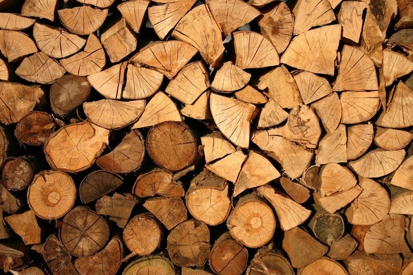 Brennholz Brennholz