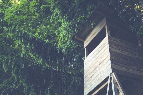 Jagd Hochstand Jagd Hochstand