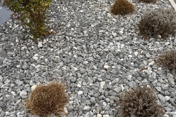 Beispiel Schottergarten Beispiel Schottergarten