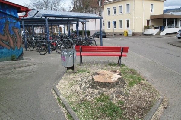 Gefällte Hainbuche am Bahnhof Denzlingen