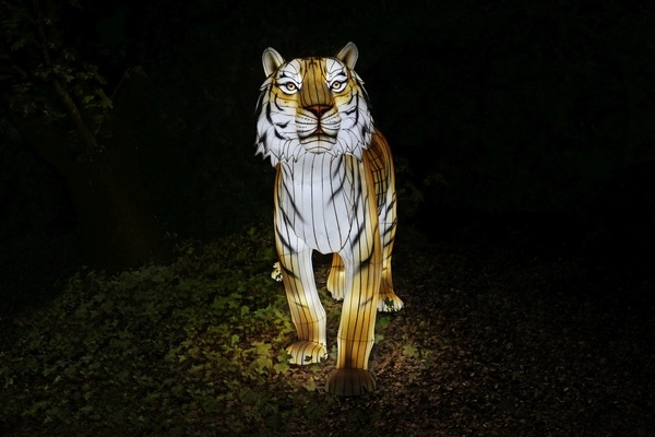 Foto: © WWF Foto: © WWF