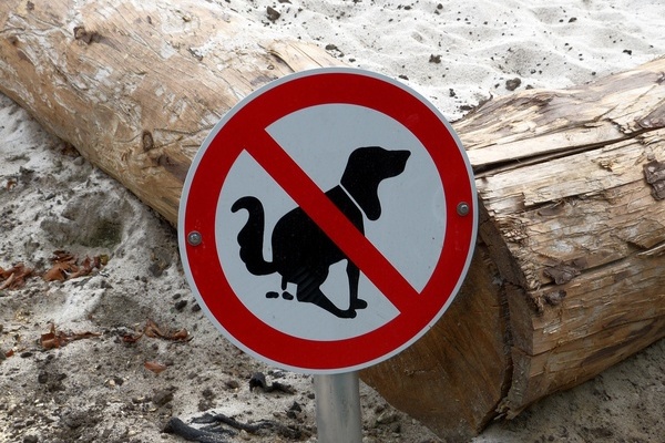 Verbotsschild Hundekot Verbotsschild Hundekot