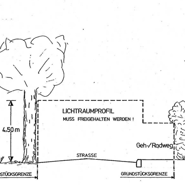 Schwarz-Weiß Zeichnung mit gesetzlichen Höhenangaben/Lichtraumprofil für Rückschnitte eines Baumes und von Hecken