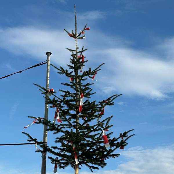 Zur Wahl des neuen Kommandos schenkte die Gemeindeverwaltung Denzlingen der Feuerwehr eine stattliche Kommandantentanne. Foto: Freiwillige Feuerwehr Denzlingen. Zur Wahl des neuen Kommandos schenkte die Gemeindeverwaltung Denzlingen der Feuerwehr eine stattliche Kommandantentanne. Foto: Freiwillige Feuerwehr Denzlingen.